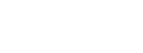 light logo